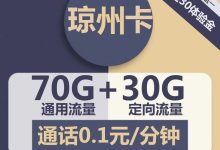 电信琼州卡29元包70G通用+30G定向+通话0.1元/分钟-胤祥通讯
