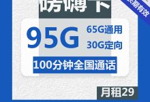 长期套餐电信磅礴卡29元包65G通用+30G定向+100分钟通话-胤祥通讯